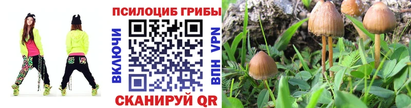 Псилоцибиновые грибы ЛСД  где купить наркоту  Сураж 