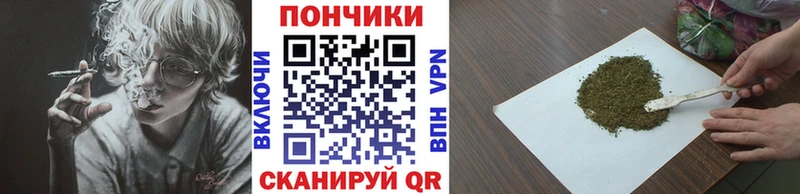 Каннабис SATIVA & INDICA Сураж